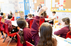 What are knowledge organisers and how can we use them in the primary classroom?